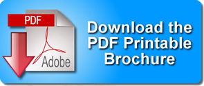 Brochure in PDF format